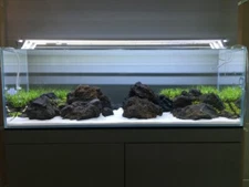 Icelandic Lava Stone for Aquascaping - Black