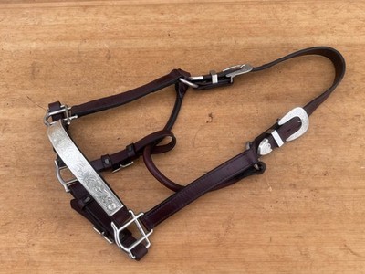 Silver Western Show Horse Halter ~ TOP QUALITY Leather ~ BUTTER SOFT