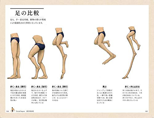 Animal Encyclopedia Through Human Body by Paleontologist Satoshi Kawasaki - Picture 5 of 6