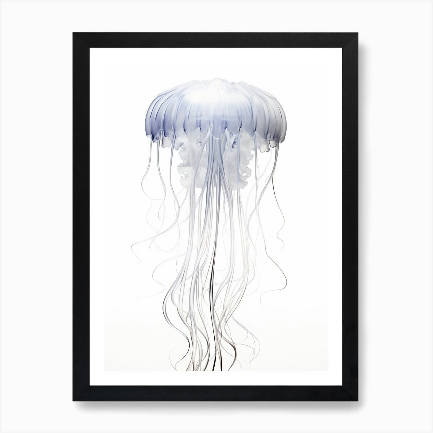 Box Jellyfish Watercolor Framed Wall Art Canvas Print Poster