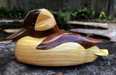Lockvogel — Bufflehead von Gordon Stennett - Bild 1 von 4
