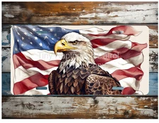 Eagle aluminum license plate, CHOICE, vanity plate, FREE shipping, gifts, USA