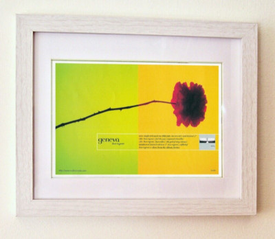 GENEVA+BEST REGRETS+FRAMED ORIGINAL MUSIC PRESS AD+1997