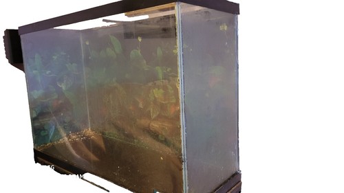 ADA Aquarium CUBE GARDEN 90P (48 GALLON) RIMLESSAQUARIUM 90 X 45 X