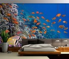 3D Animal Lively Fish R8255 Wallpaper Wall Mural Self-adhesive Removable Luna