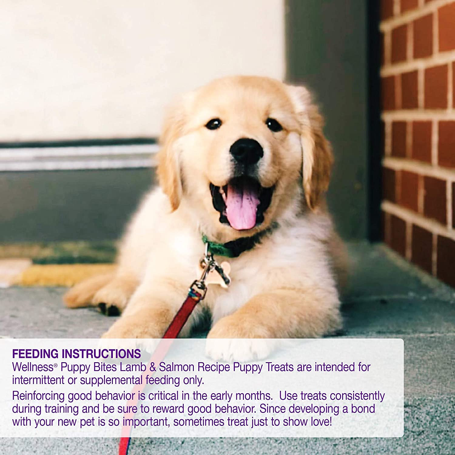 Wellness Soft Puppy Bites Natural Grain-Free Treats for Training, Dog Treats wit