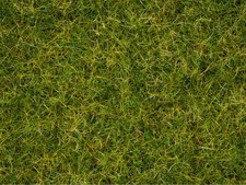 NOCH 07072 Master-Grasmischung Sommerwiese, 2,5 bis 6 mm G/0/H0/TT