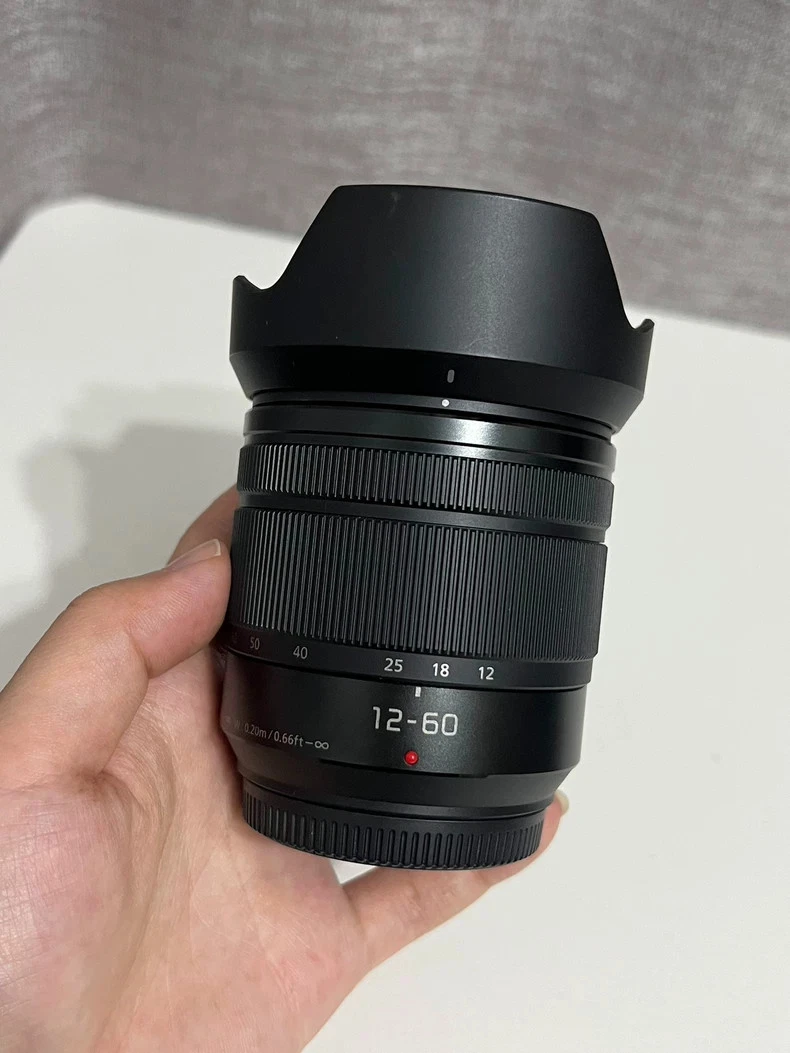 Panasonic 12-60mm f/3.5-5.6 Camera Lenses for sale | eBay