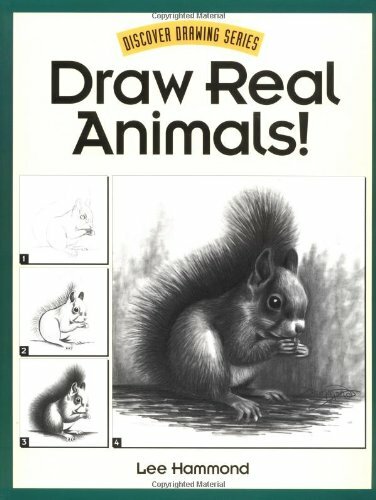 Draw Real Animals! (Discover drawing series),Lee Hammond - Bild 1 von 1