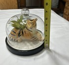 Foto 10 di 10