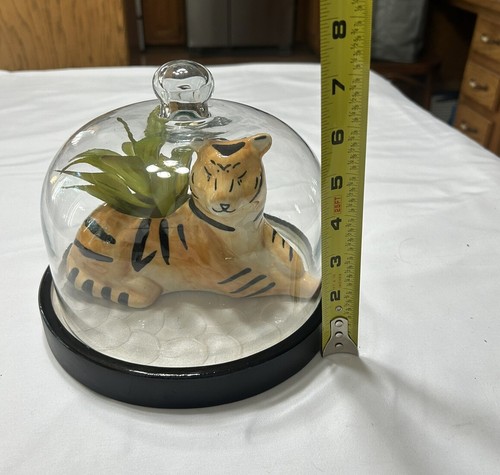 Fioriera tigre sotto cupola in vetro - Foto 10 di 10