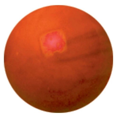 New for 2023! 16mm Opal Orange Glass Player Marbles (5/8") Pack of 10 Vacor - Picture 2 of 2
