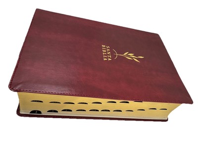 Biblia de Estudio del Diario Vivir Letra Grande RV1960 imit piel vino tinto c...
