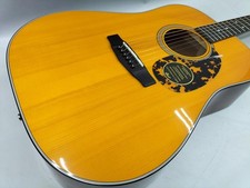 CORT Acoustic Guitar EARTH300V Used