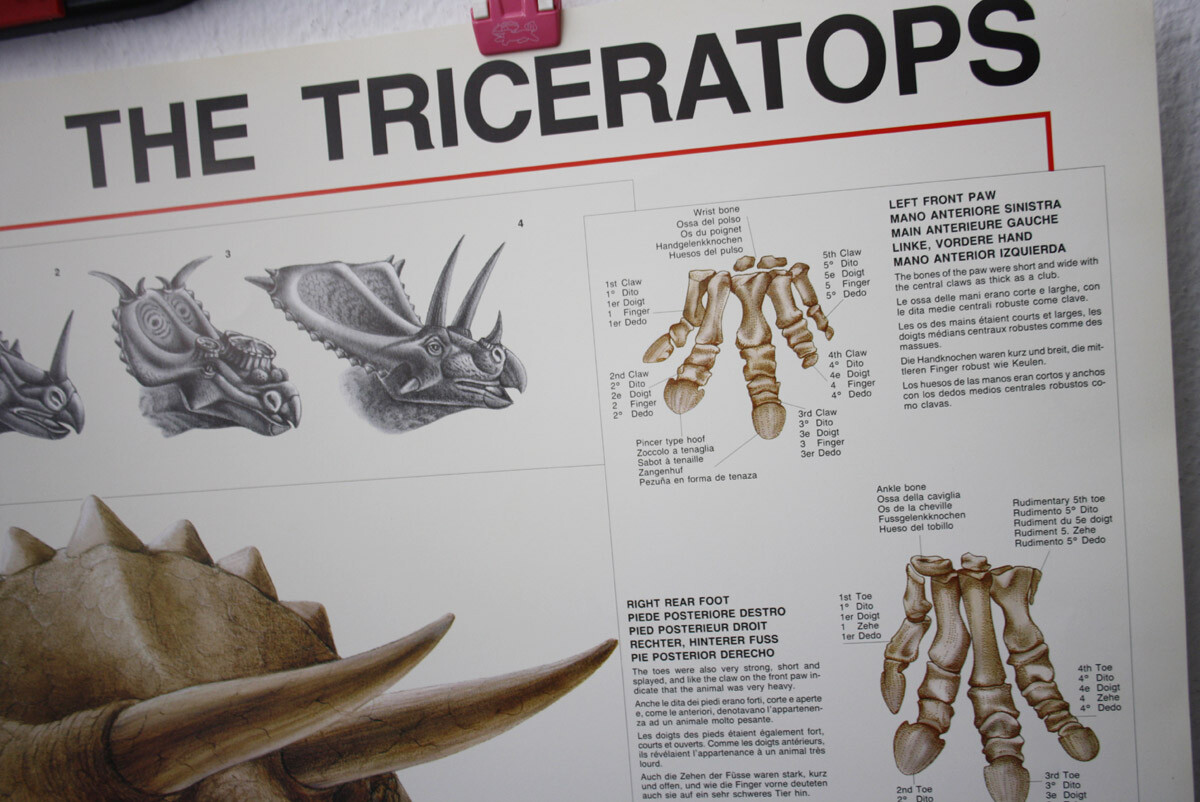 AUTHENTIC VINTAGE 1993 TRICERATOPS DINOSAUR 68X99cm HOBBY POSTER