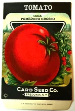 Vintage Seed Packet Tomato Chalk Pomedoro Grosso NOS Card Seed Co. A3