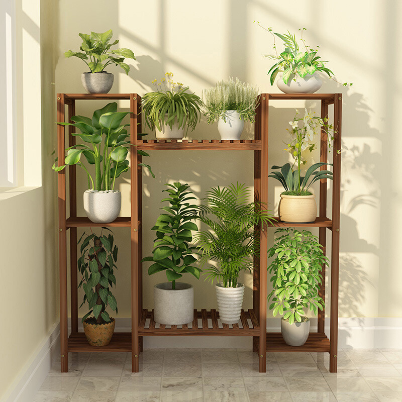 lucky bamboo plant pot Lucky Bamboo ( Large ) with self watering pot main image 1