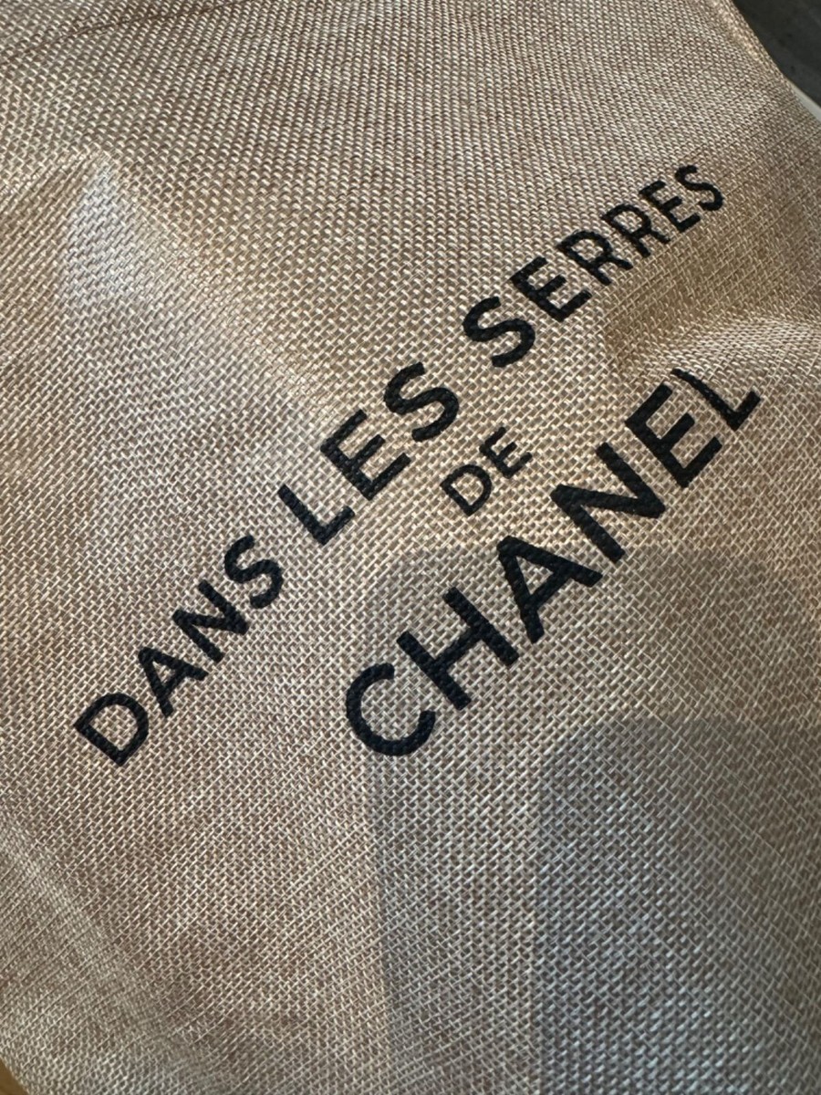 CHANEL DANS LES SERRES DE Novelty Tote Bag Event 30cm x 43cm x
