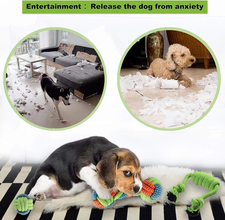 Giochi per Cani, 6 pezzi Giochi Interattivi per Cani Corda Cane Giochi per Cani - Immagine 3 di 4