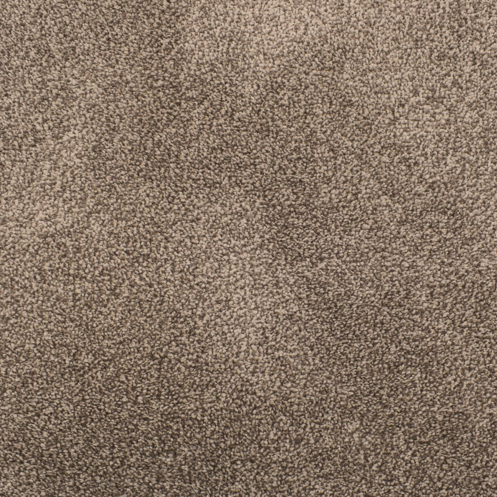 DURABLE 12mm Thick Soft Brown Hardwearing 5m Wide Carpet £20.99m² eBay