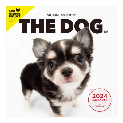 2024 The Dog Calendar Chihuahua | eBay