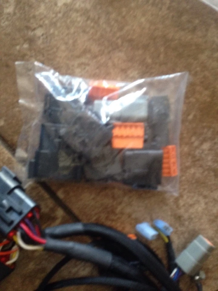 Arnés de cableado principal para motocicleta Saxon Griffin Bobber Sceptre 2008 Thunderheart Foto 3 de 3