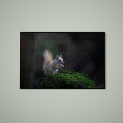 Jim Cumming - White Squirrel - Art Print on Paper or Canvas