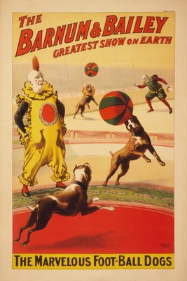 Print: Barnum & Bailey. The Marvelous Foot-Ball Dogs, 1900
