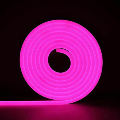 12V 65ft LED Neon Light Strip Silicone Waterproof Building Hotel Vibe Lighting