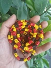 10 Handmade Elastic Coconut Shell Aborigines Aboriginal Bracelets Wholesale A