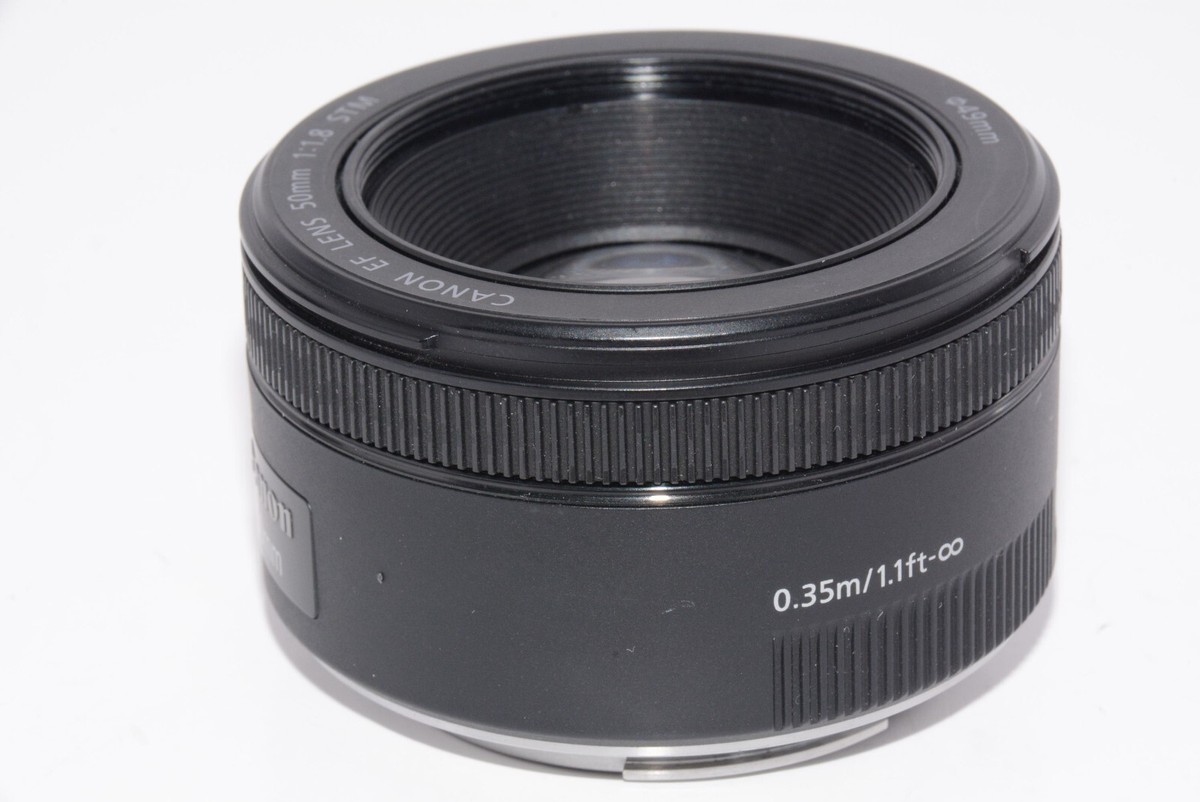 N.MINT] Canon EF50mm F1.8 STM for EOS DSLR Cameras From JAPAN