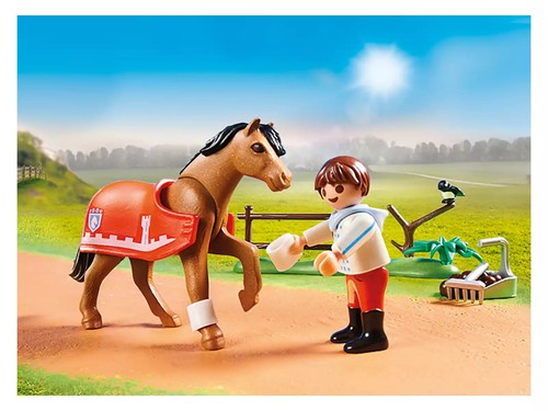 Original PLAYMOBIL Country 70516 - Pony Collectable Connemara - Picture 4 of 4