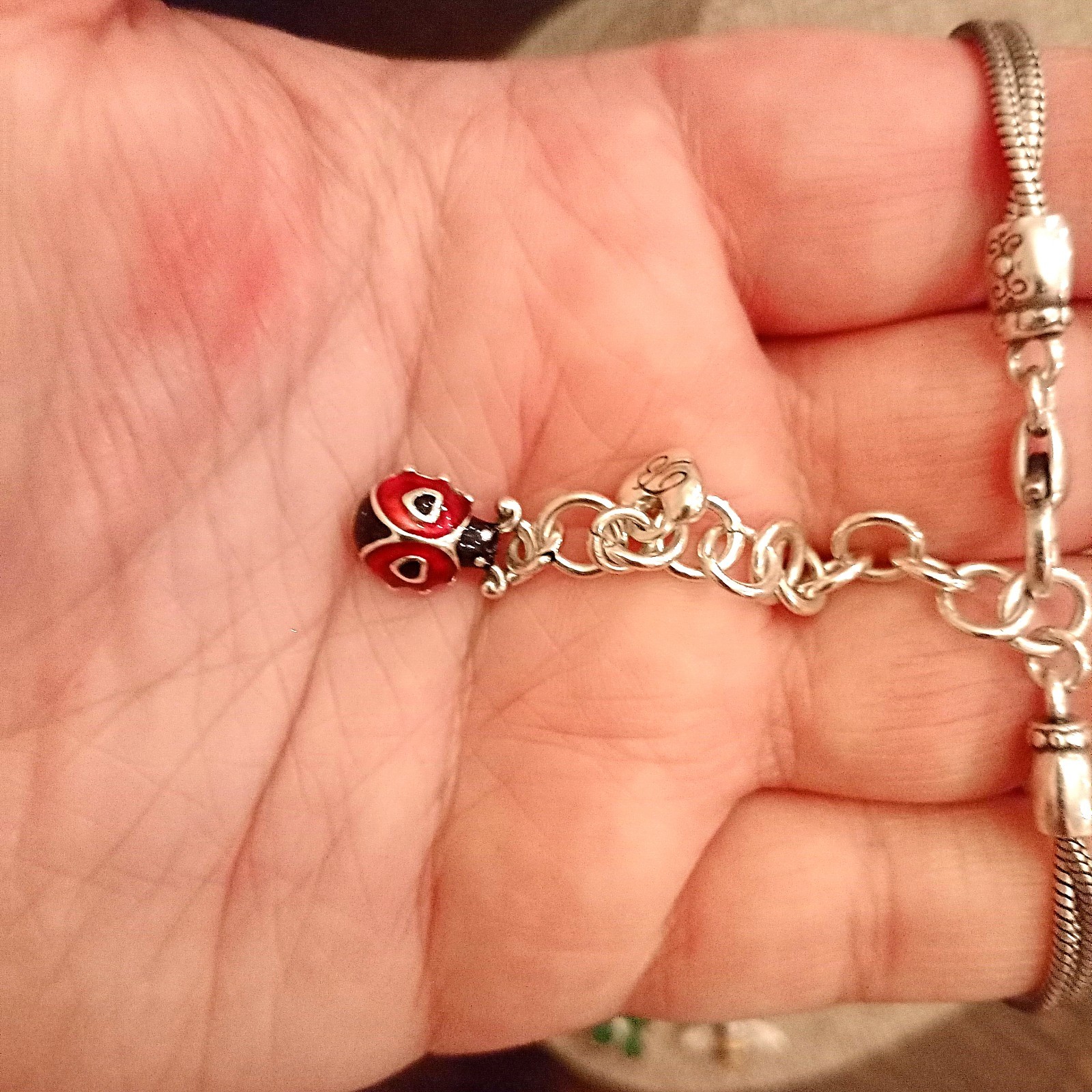 Brighton Retired HTF Lovebug Charm Necklace Ladybug Flower Nature ...