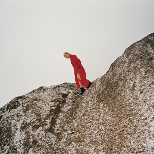 Cate Le Bon Reward (CD) Album