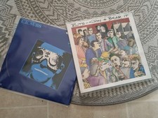 2Schallplatten Konvolut aus Schallplattensammlung Uk Subs/Ruts  Rock/Punk 