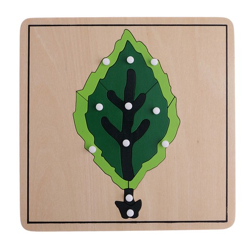 Materiale Botanico Montessori - 3 Puzzle A Forma Di Pianta Per Giocattoli - Foto 7 di 12