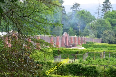 Foto 6x4 ummauerter Küchengarten, Mount Stuart Kerrycroy viel vom Gemüse c2014