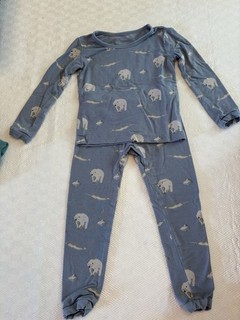 Kyte Baby 18 24 Mos. Blue With Polar Bears Bamboo Pajama Set Long Sleeve Pant