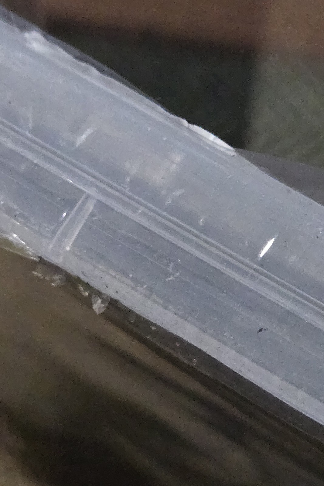 Picture 8 of 8