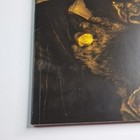 Foto 5 di 16