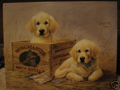 Tin Sign- LR Kaatz- 2 Blond Lab Pups in Wingmaster Box