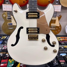 SCHECTER WAYNE HUSSEY 12 String Guitar