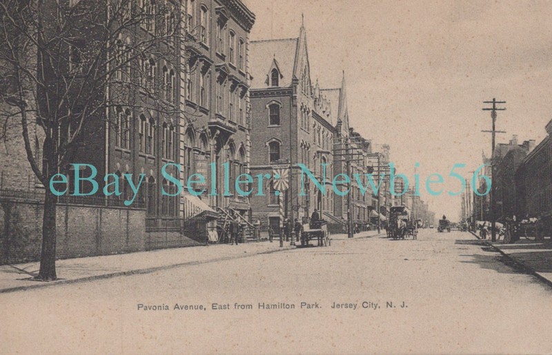 Jersey City NJ - PAVONIA AVENUE EAST FROM HAMILTON PARK - Postcard