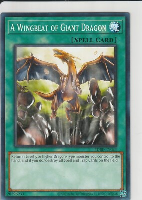plant yugioh deck Amazon.com: Complete Custom Deck for Yu-Gi-Oh! 5D's main image 0