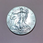 2013 American Silver Eagle 1 Ounce .999 Fine Silver