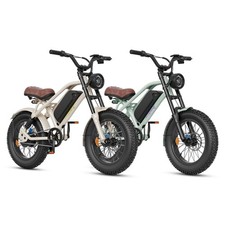 Adult Electric Bike 20" Fat Tire Ebike 750W Motor Beach Snow Commuter Bicycle
