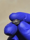 Chelyabinsk Meteorites 1.495g  Fresh Crusted Individual COA Russia — photo 4