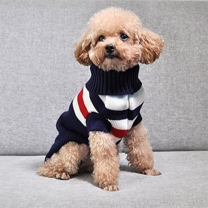 dog sweaters keep dogs warm