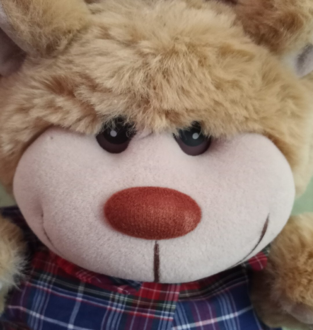 Vintage Trappers BEAR plush, Stuffed Animal. EUC Cleaned. eBay