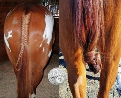 DOUBLE False Tail Mid CHESTNUT Genuine Horse 90CM 35“ False Horse Tail 360g - Bild 1 von 4